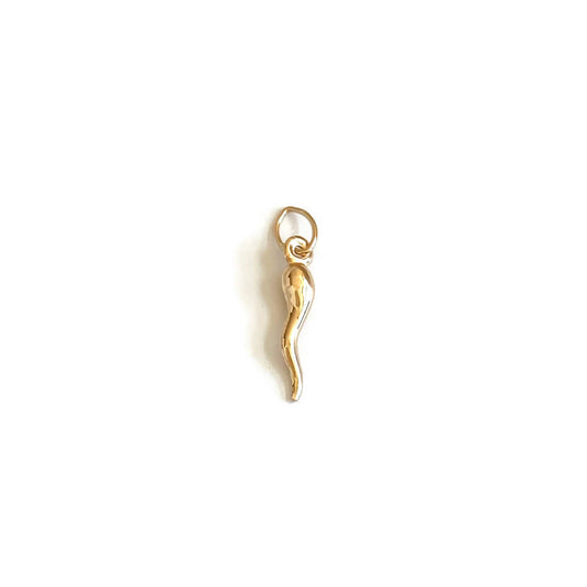 14K Gold Horn Charm