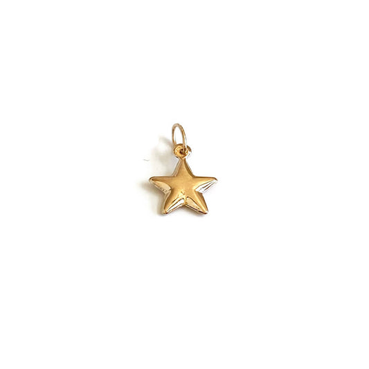 14K Gold Star Charm